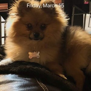 Meet your Posher, Jenn